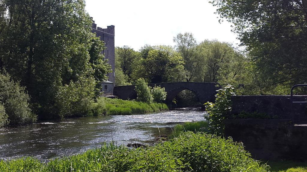 Lord Bagenal Inn Leighlinbridge Exterior foto